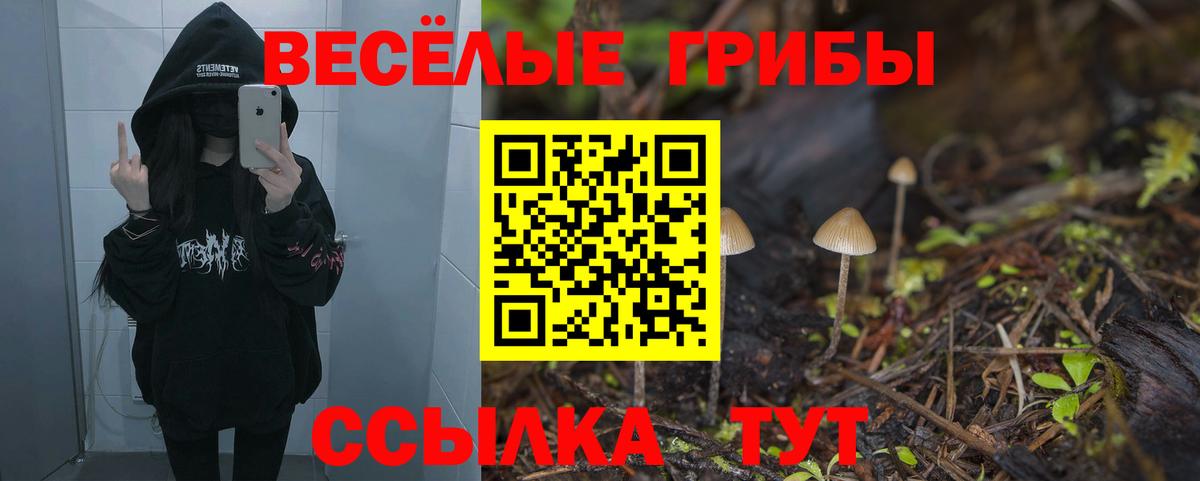 Галлюциногенные грибы мицелий  Вход с VPN  Дмитров  Псилоцибиновые грибы ЛСД 